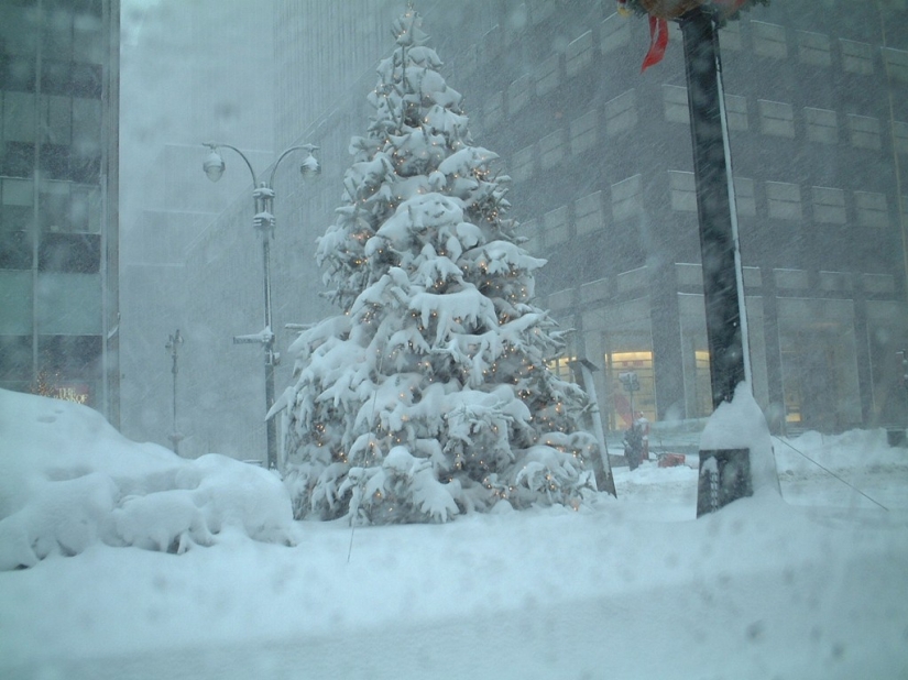 25 Amazing Facts About New York