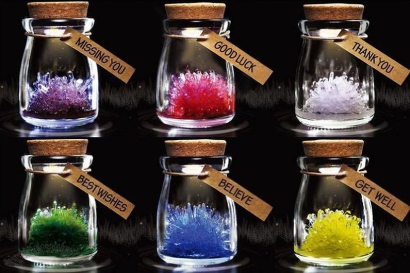 25 Crazy Gifts You Can Buy on Aliexpress