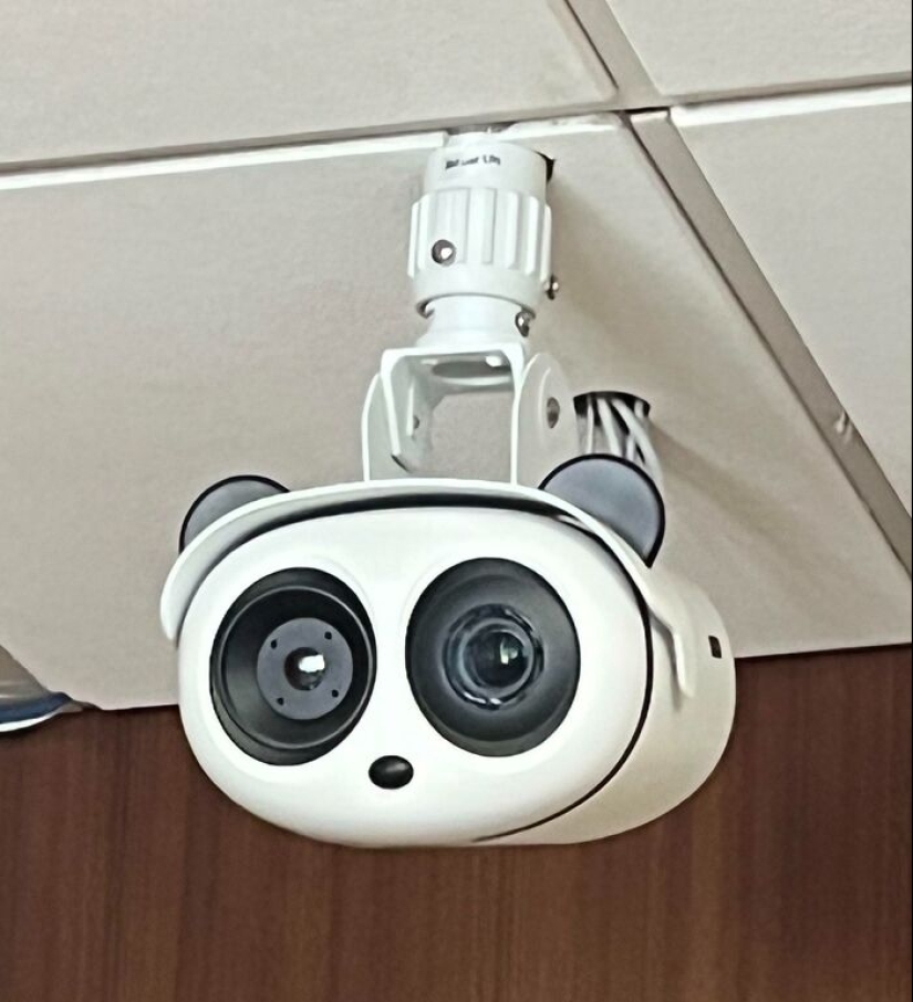 25 de los ejemplos más fascinantes e inesperados de pareidolia compartidos por personas en línea 25 de los ejemplos más fascinantes e inesperados de pareidolia compartidos por personas en línea