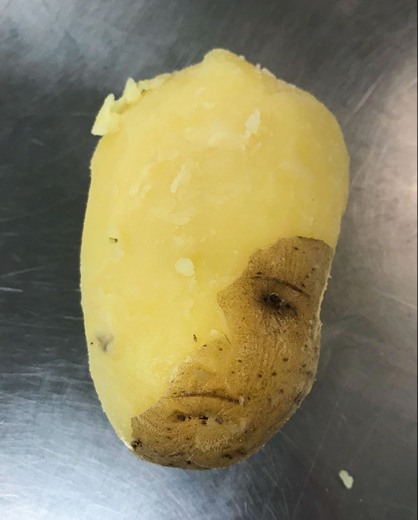 25 de los ejemplos más fascinantes e inesperados de pareidolia compartidos por personas en línea 25 de los ejemplos más fascinantes e inesperados de pareidolia compartidos por personas en línea