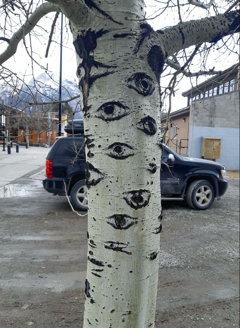 25 de los ejemplos más fascinantes e inesperados de pareidolia compartidos por personas en línea 25 de los ejemplos más fascinantes e inesperados de pareidolia compartidos por personas en línea