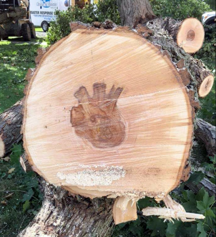 25 de los ejemplos más fascinantes e inesperados de pareidolia compartidos por personas en línea 25 de los ejemplos más fascinantes e inesperados de pareidolia compartidos por personas en línea