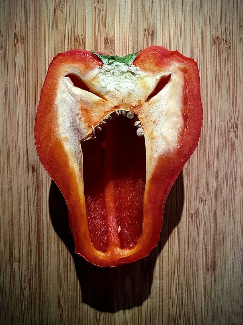25 de los ejemplos más fascinantes e inesperados de pareidolia compartidos por personas en línea 25 de los ejemplos más fascinantes e inesperados de pareidolia compartidos por personas en línea