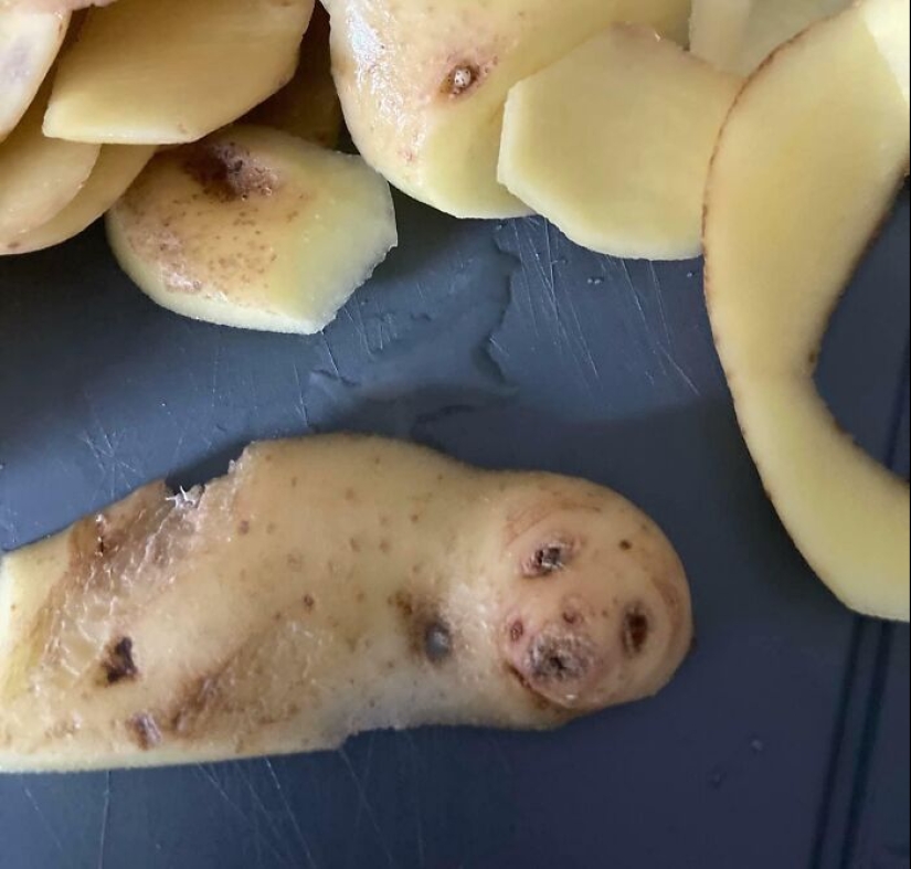 25 de los ejemplos más fascinantes e inesperados de pareidolia compartidos por personas en línea 25 de los ejemplos más fascinantes e inesperados de pareidolia compartidos por personas en línea