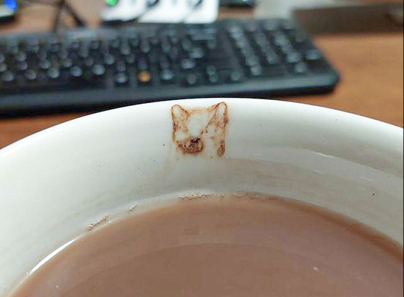 25 de los ejemplos más fascinantes e inesperados de pareidolia compartidos por personas en línea 25 de los ejemplos más fascinantes e inesperados de pareidolia compartidos por personas en línea