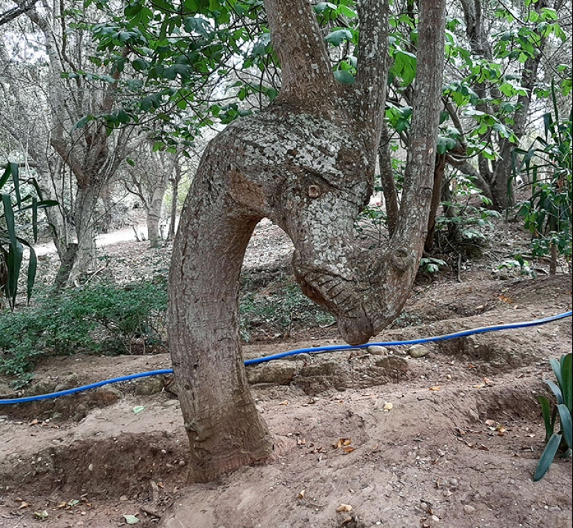 25 de los ejemplos más fascinantes e inesperados de pareidolia compartidos por personas en línea 25 de los ejemplos más fascinantes e inesperados de pareidolia compartidos por personas en línea