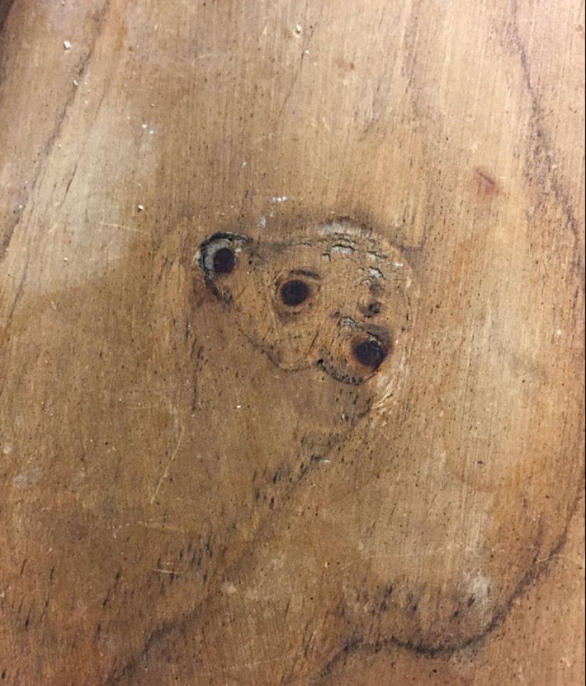 25 de los ejemplos más fascinantes e inesperados de pareidolia compartidos por personas en línea 25 de los ejemplos más fascinantes e inesperados de pareidolia compartidos por personas en línea