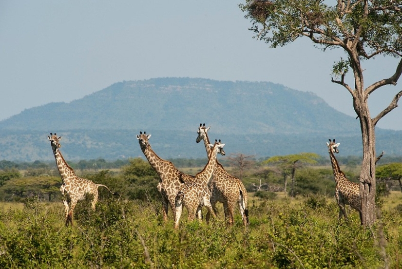 25 destinos turísticos de los que probablemente no hayas oído hablar