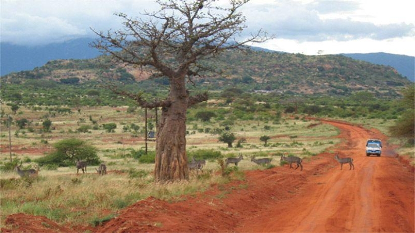 25 most beautiful and at the same time secluded places on the planet