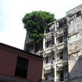 25 photos that nature is strongest