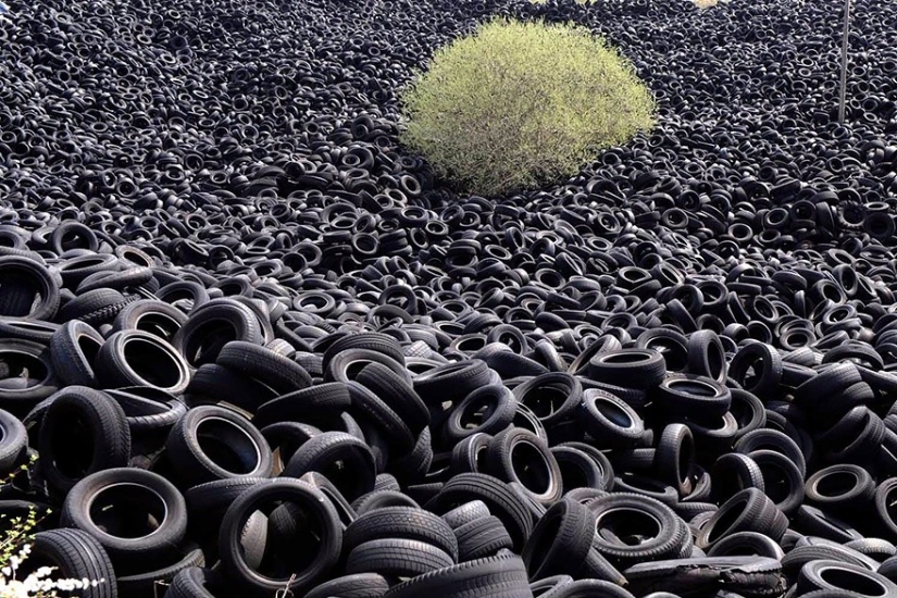25 photos that nature is strongest