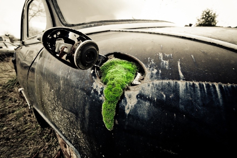 25 photos that nature is strongest