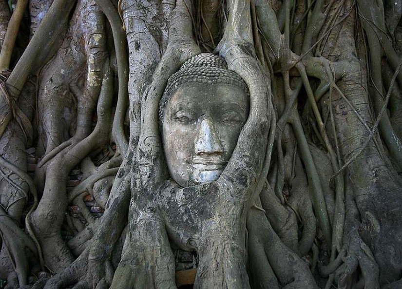 25 photos that nature is strongest