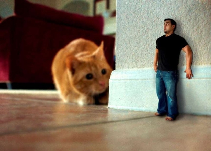 26 Weird Phobias You&#39;ve Probably Never Heard Of