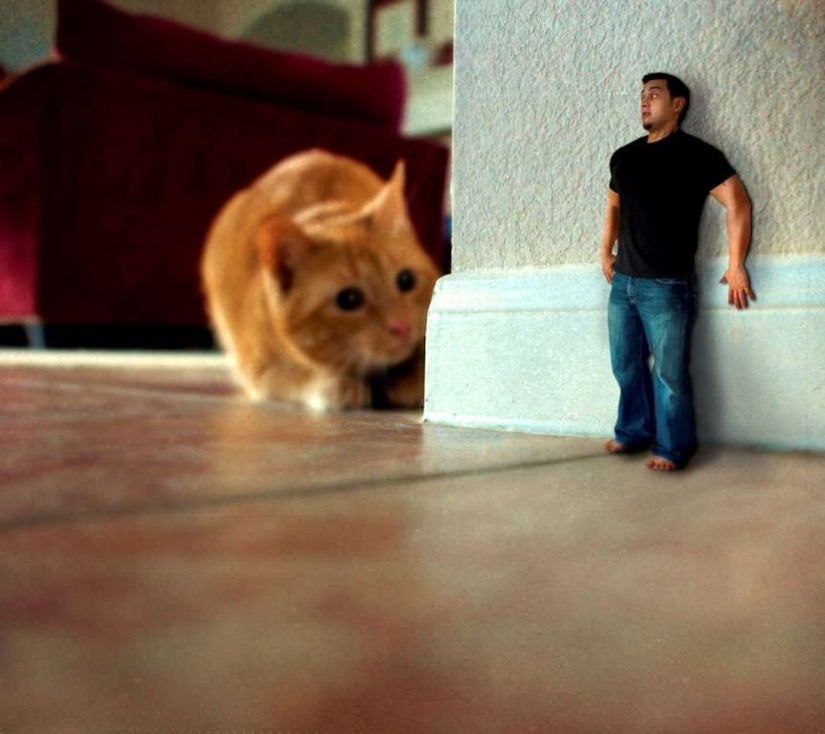 26 Weird Phobias You&#39;ve Probably Never Heard Of