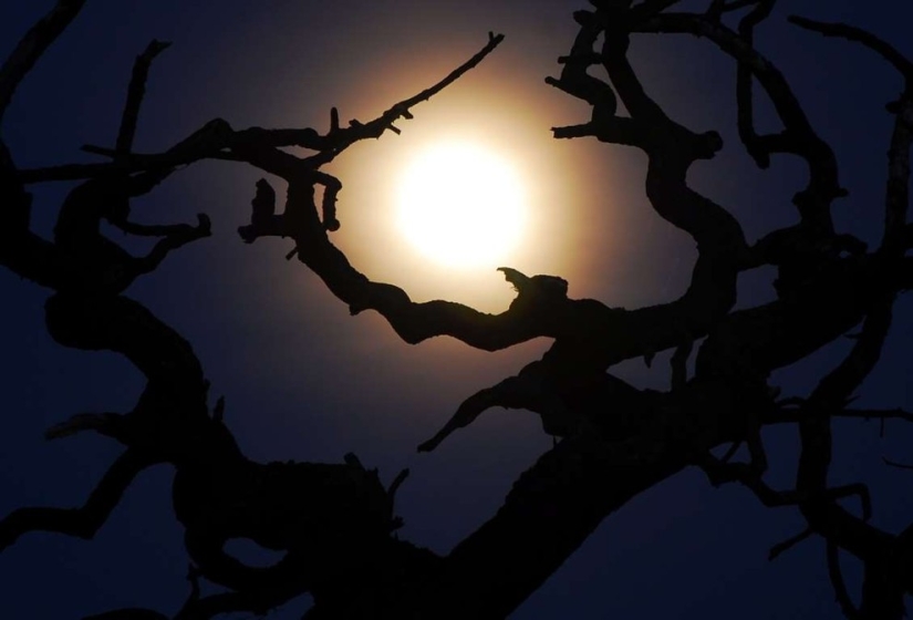26 Weird Phobias You&#39;ve Probably Never Heard Of