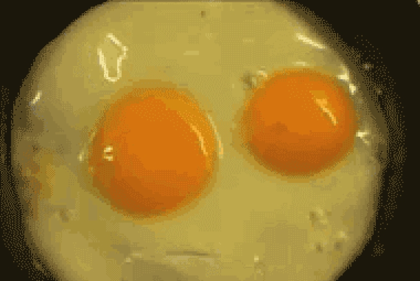 28 foods that desperately don't want to be eaten 28 foods that desperately don't want to be eaten