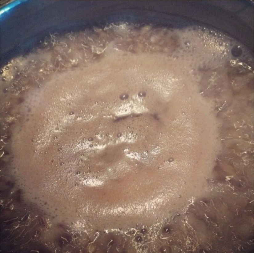 28 foods that desperately don't want to be eaten 28 foods that desperately don't want to be eaten