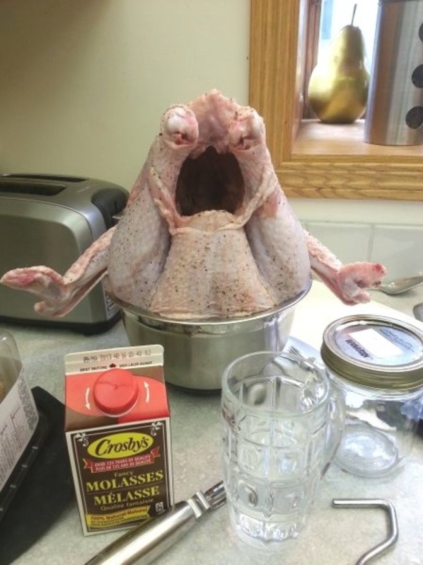 28 foods that desperately don't want to be eaten 28 foods that desperately don't want to be eaten