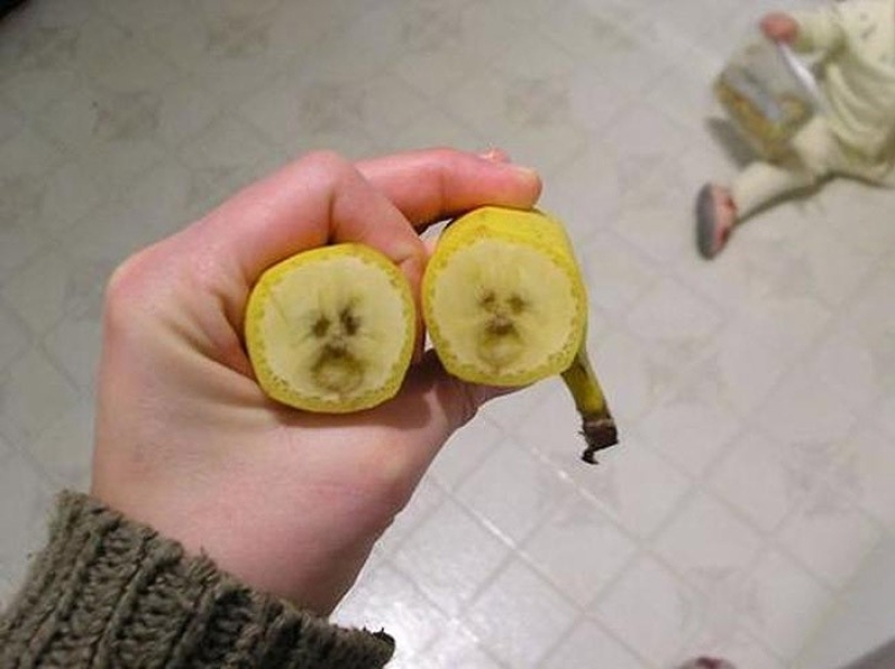 28 foods that desperately don't want to be eaten 28 foods that desperately don't want to be eaten