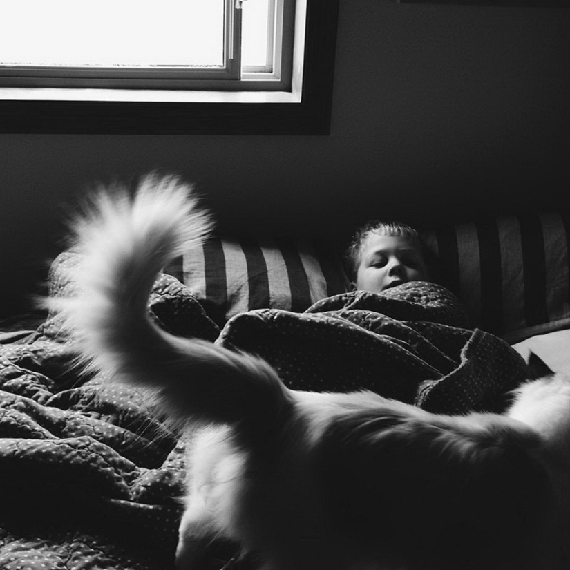 3 + 2. Children and cats photographed by Beth Mancuso 3 + 2. Children and cats photographed by Beth Mancuso