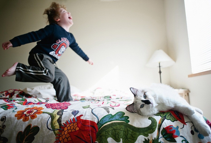 3 + 2. Children and cats photographed by Beth Mancuso 3 + 2. Children and cats photographed by Beth Mancuso