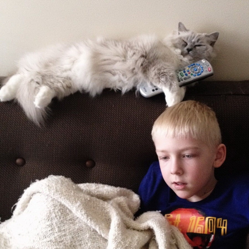 3 + 2. Children and cats photographed by Beth Mancuso 3 + 2. Children and cats photographed by Beth Mancuso
