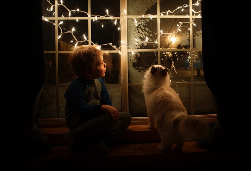 3 + 2. Children and cats photographed by Beth Mancuso 3 + 2. Children and cats photographed by Beth Mancuso