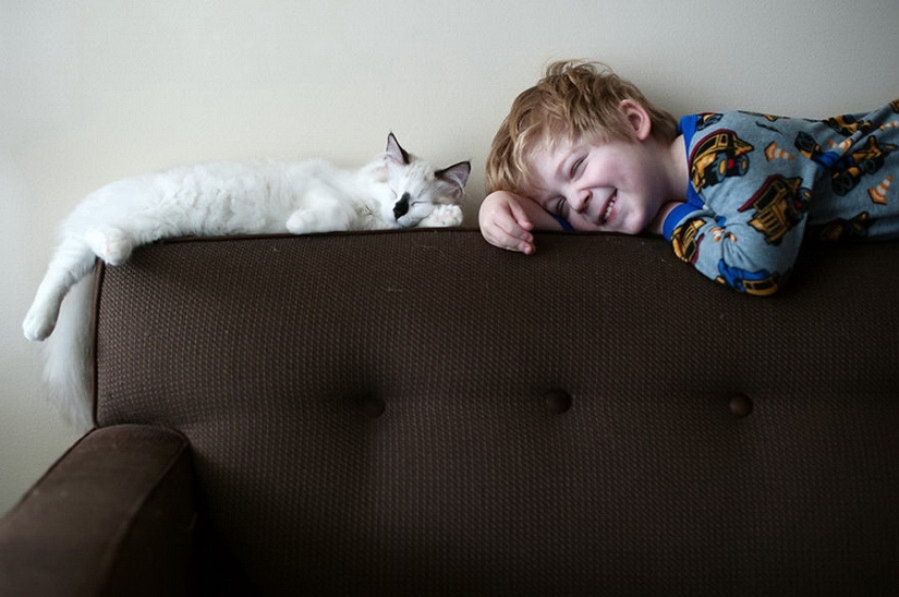 3 + 2. Children and cats photographed by Beth Mancuso 3 + 2. Children and cats photographed by Beth Mancuso