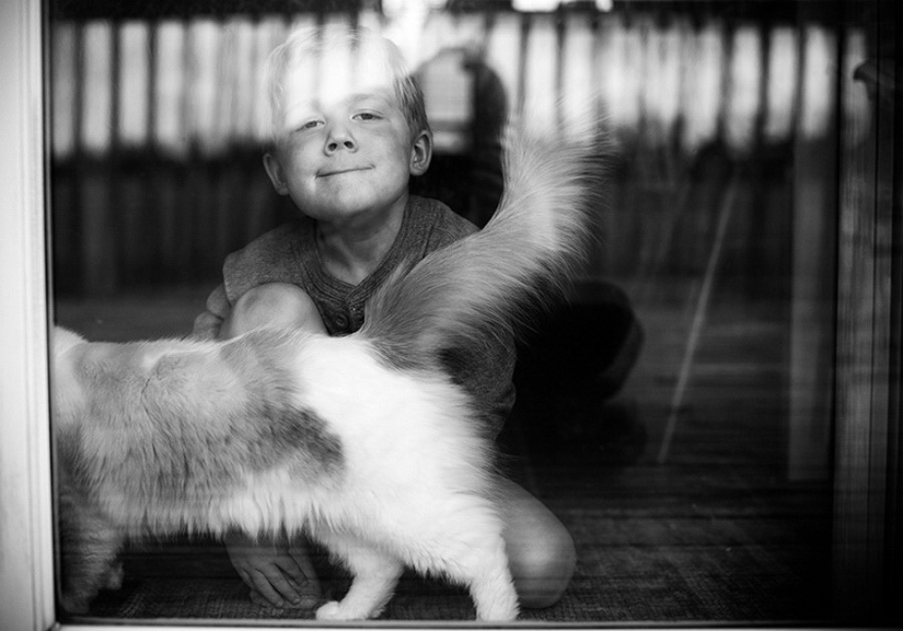 3 + 2. Children and cats photographed by Beth Mancuso 3 + 2. Children and cats photographed by Beth Mancuso