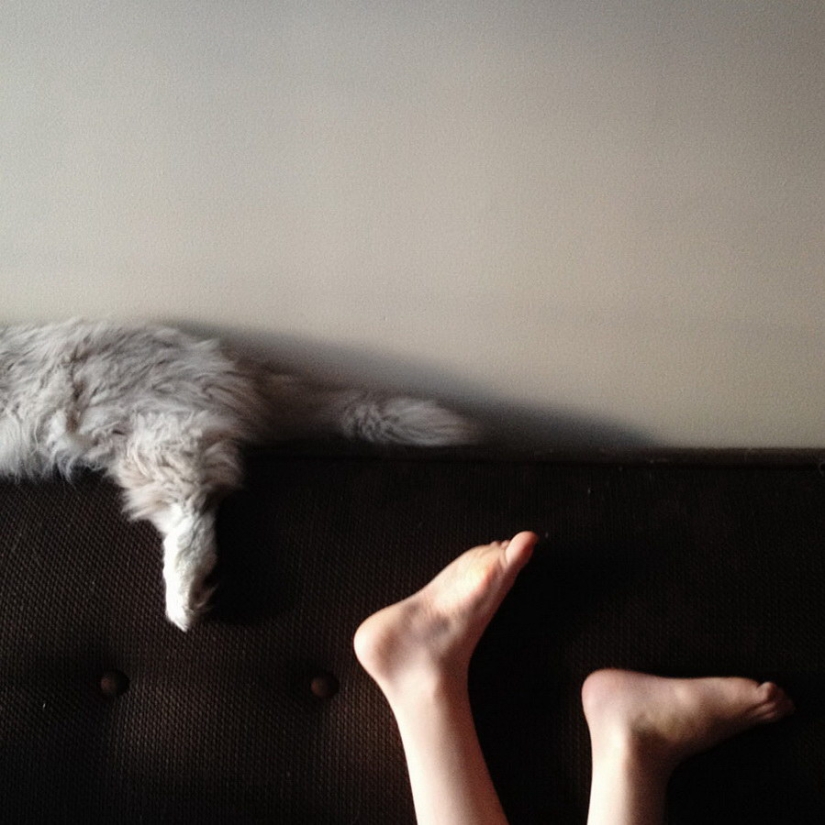 3 + 2. Children and cats photographed by Beth Mancuso 3 + 2. Children and cats photographed by Beth Mancuso