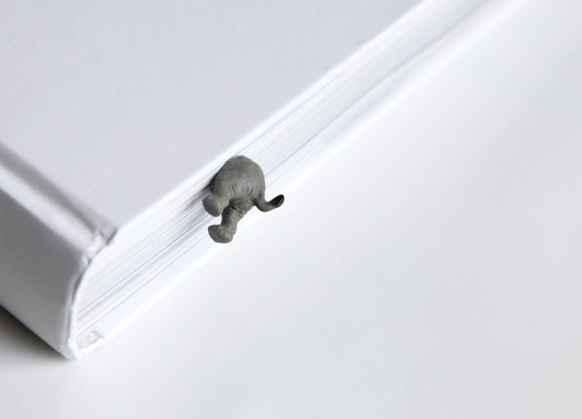 30 essential items for anyone who loves elephants! 30 essential items for anyone who loves elephants!