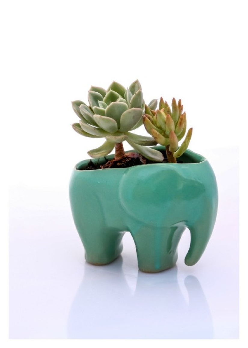 30 essential items for anyone who loves elephants! 30 essential items for anyone who loves elephants!