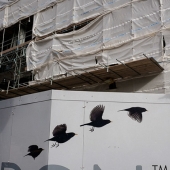 30 fotogramas de fotografía callejera con un momento perfectamente elegido