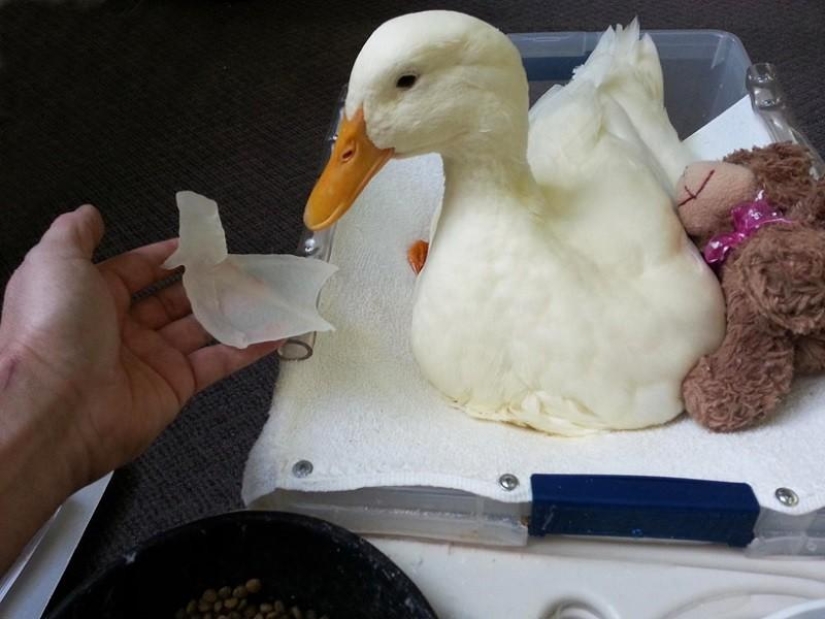 30 Incredible 3D Printed Items 30 Incredible 3D Printed Items