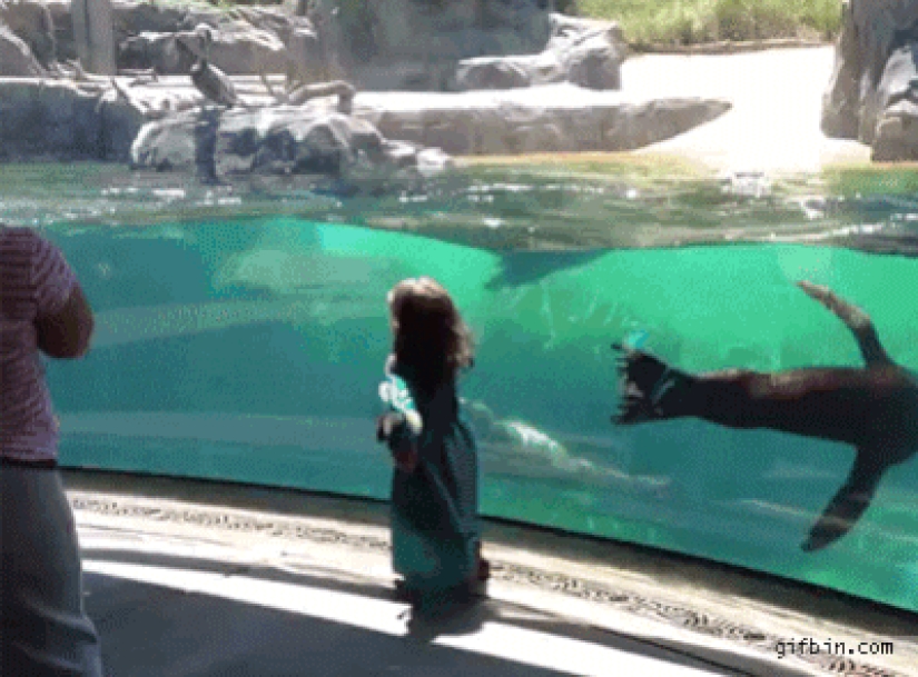 30 personas que encontraron amigos en el zoológico