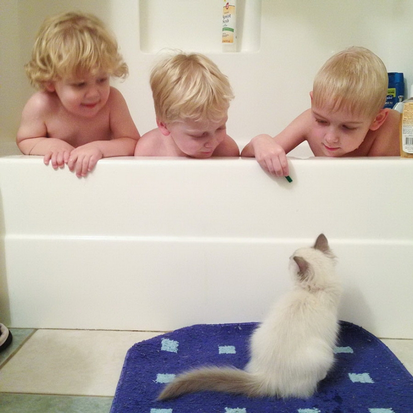 3+2. Niños y gatos fotografiados por Beth Mancuso 3+2. Niños y gatos fotografiados por Beth Mancuso