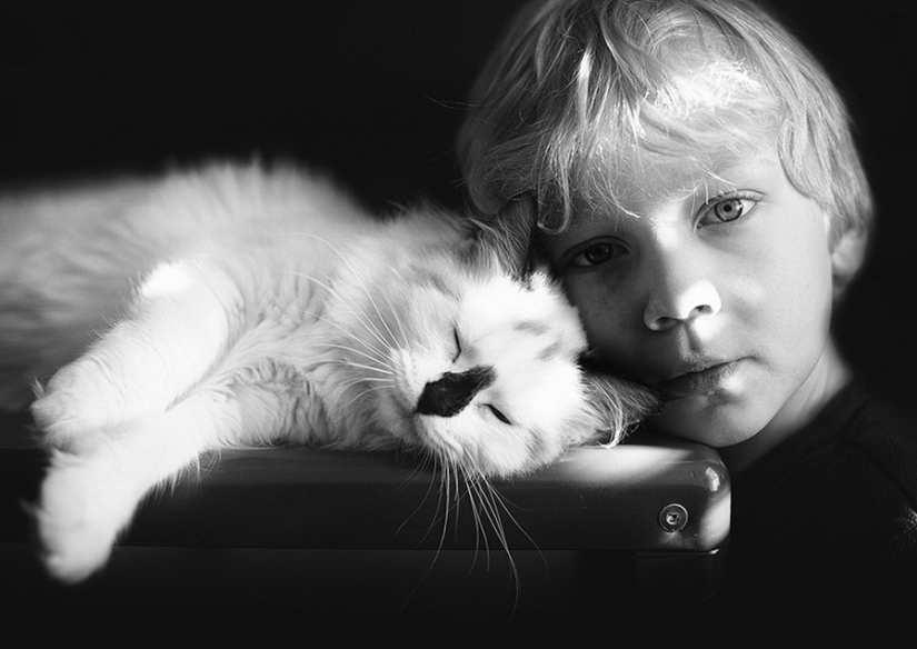 3+2. Niños y gatos fotografiados por Beth Mancuso 3+2. Niños y gatos fotografiados por Beth Mancuso