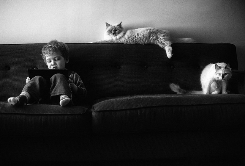 3+2. Niños y gatos fotografiados por Beth Mancuso 3+2. Niños y gatos fotografiados por Beth Mancuso