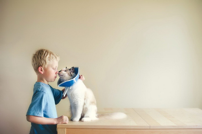 3+2. Niños y gatos fotografiados por Beth Mancuso 3+2. Niños y gatos fotografiados por Beth Mancuso