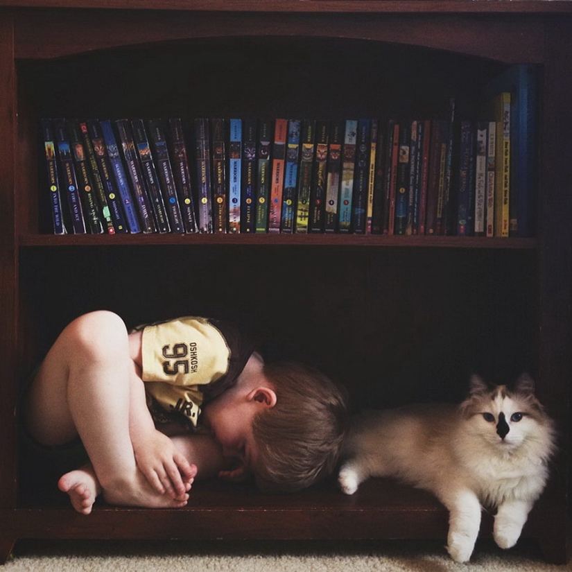 3+2. Niños y gatos fotografiados por Beth Mancuso 3+2. Niños y gatos fotografiados por Beth Mancuso