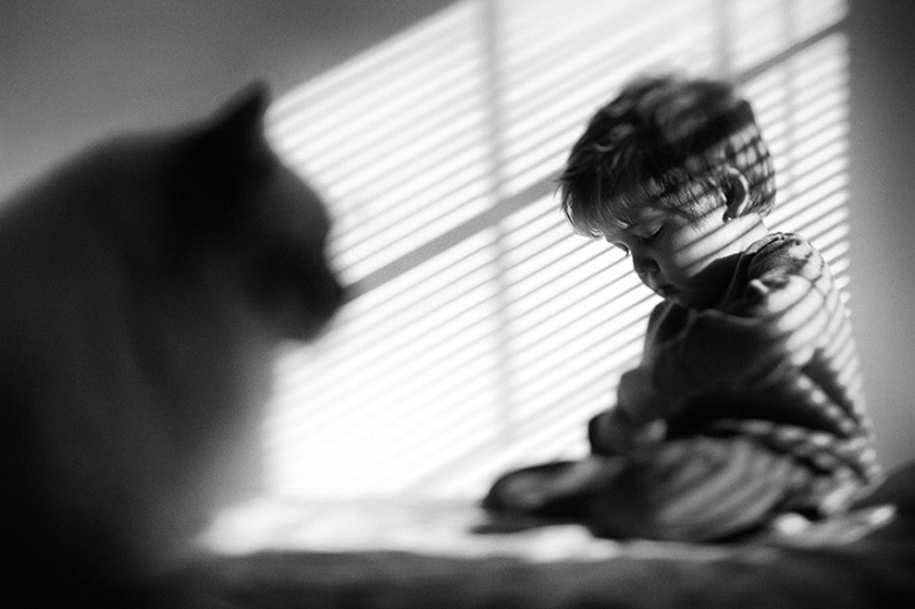 3+2. Niños y gatos fotografiados por Beth Mancuso 3+2. Niños y gatos fotografiados por Beth Mancuso