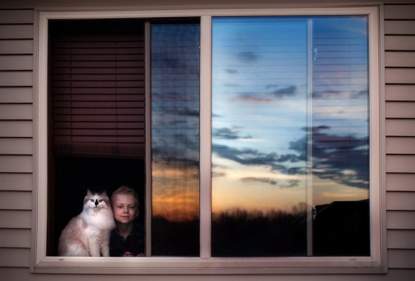 3+2. Niños y gatos fotografiados por Beth Mancuso 3+2. Niños y gatos fotografiados por Beth Mancuso