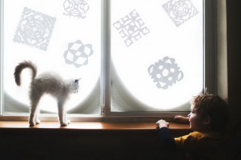 3+2. Niños y gatos fotografiados por Beth Mancuso 3+2. Niños y gatos fotografiados por Beth Mancuso