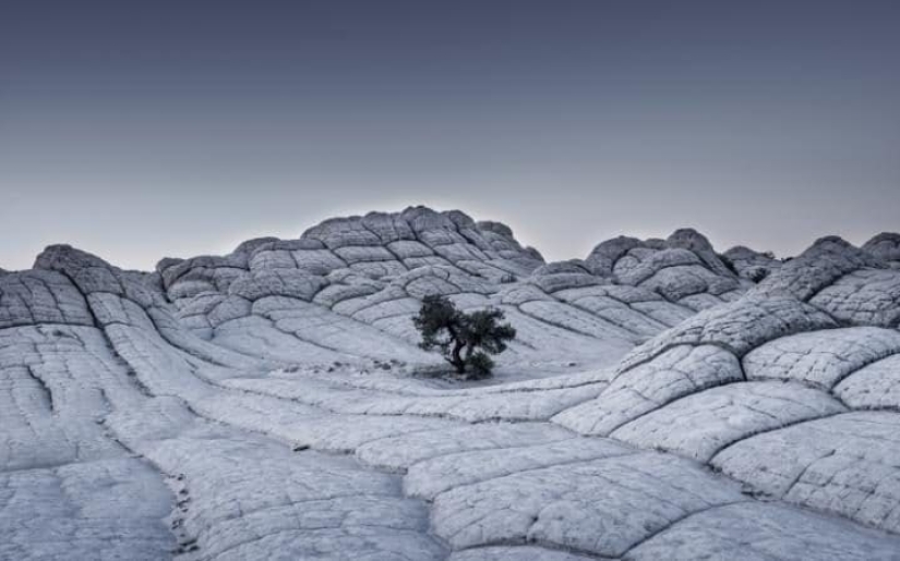 33 finalists of the Sony World Photography Awards 2017 photo contest
