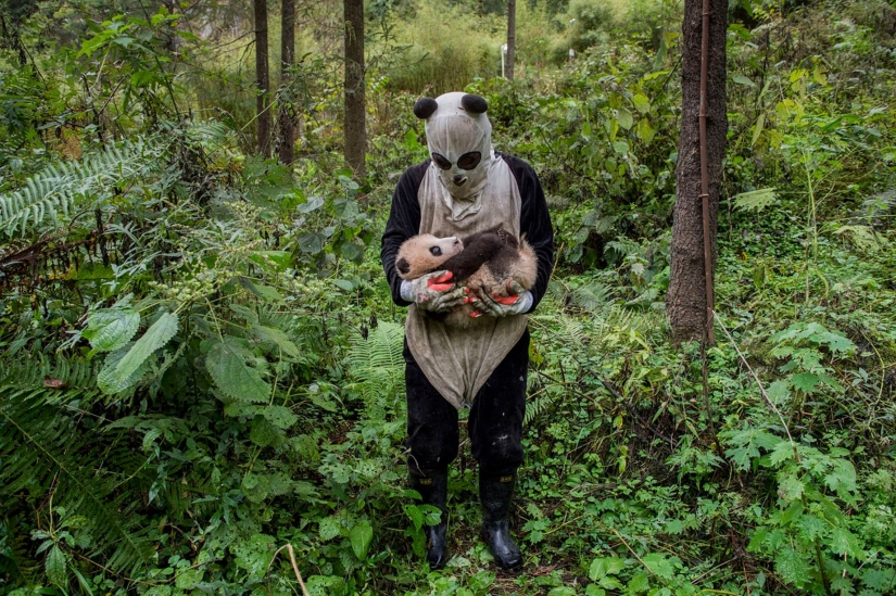 33 finalists of the Sony World Photography Awards 2017 photo contest
