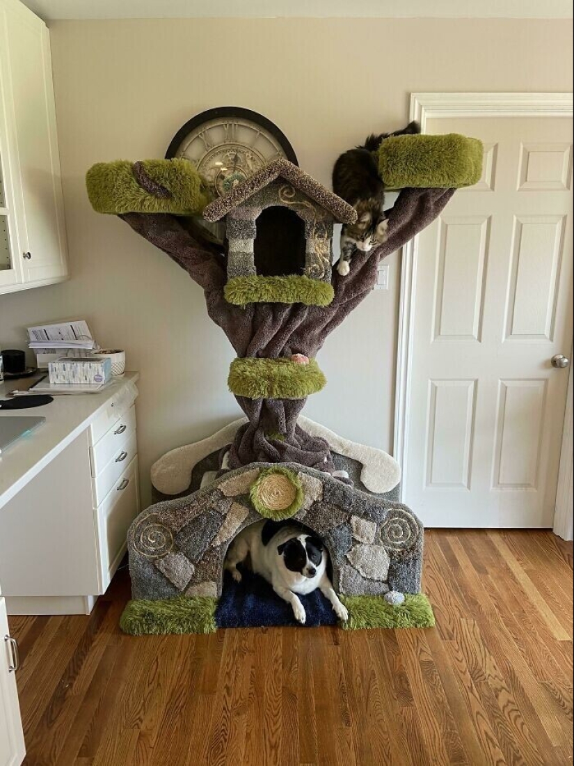 35 coolest DIY that came to light thanks to the quarantine