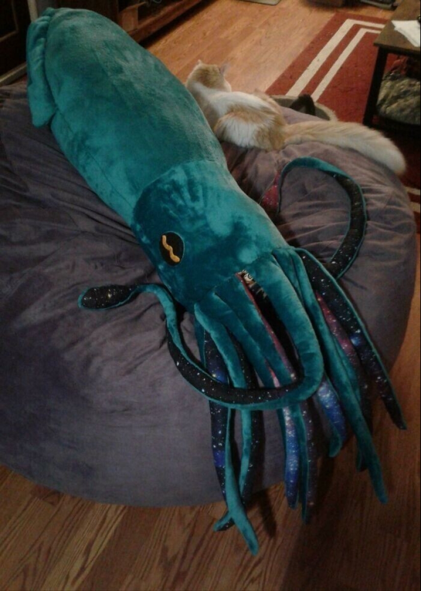 35 coolest DIY that came to light thanks to the quarantine