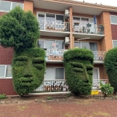 35 Times People Went Out Of Their Way To Make Their Gardens And Yards Unique But Ended Up With These 35 Times People Went Out Of Their Way To Make Their Gardens And Yards Unique But Ended Up With These