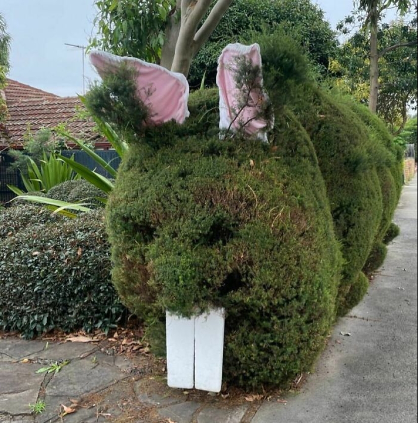 35 Times People Went Out Of Their Way To Make Their Gardens And Yards Unique But Ended Up With These